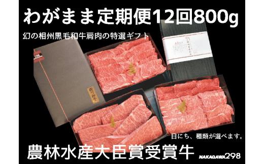 
牛肉 定期便 12回 幻の相州黒毛和牛肩肉 800g×12回 計9.6kg【相州黒毛和牛 相州牛 幻の牛肉 極上の旨味と風味 キメ細かな上質の脂 様々な料理に ブランド牛 ブランド牛肉 神奈川特産品 神奈川県 小田原市 】
