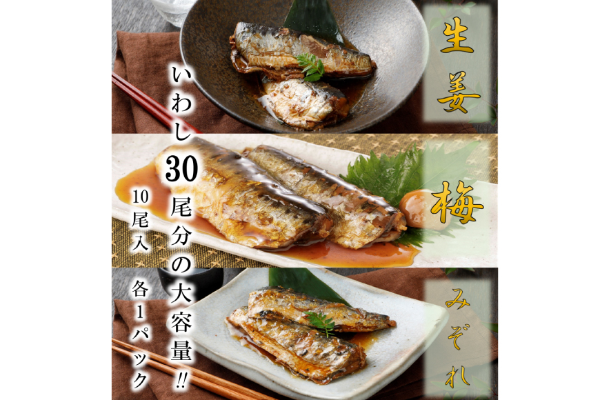 定期便 《3ヶ月連続お届け》 訳あり 業務用 いわし煮魚 (3種×10尾 計30尾入 約1.4kg)×3回 総重量約4.2kg [カネダイ 宮城県 気仙沼市 20563280] いわし 生姜煮 梅肉煮 みぞれ煮