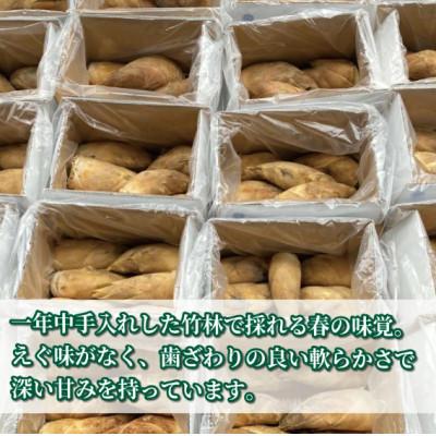 ふるさと納税 八幡市 【 先行受付 】京たけのこ 水煮 約1kg 京都府八幡市 白子筍 |  | 01