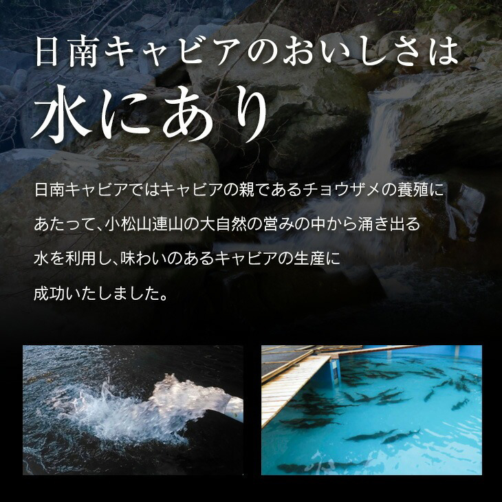 キャビアフィッシュ スモーク 50g 日南 キャビア 4g 黄金 セット 燻製 加工品 魚介 魚貝 魚卵 海産物 食品 国産 世界三大珍味 黒いダイヤ 希少 おつまみ おすすめ お祝 おもてなし お取