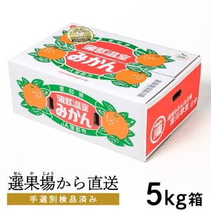 【2027年6月下旬～発送予定】※先行予約【期間限定】蒲郡温室みかん ５kg（秀品）_【G0356】
