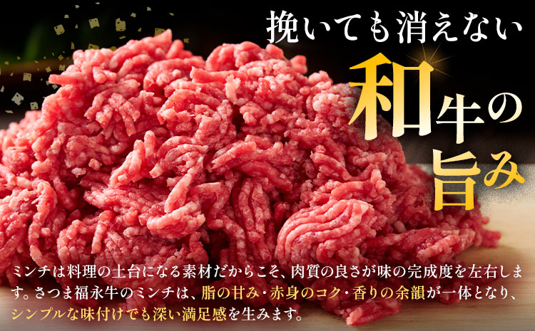 さつま福永牛 ミンチ肉 二度挽き 250g×2パック 福永畜産《30日以内に出荷予定(土日祝除く)》鹿児島県 さつま町 和牛 福永牛 ミンチ 二度挽き 粗挽き 肉 国産