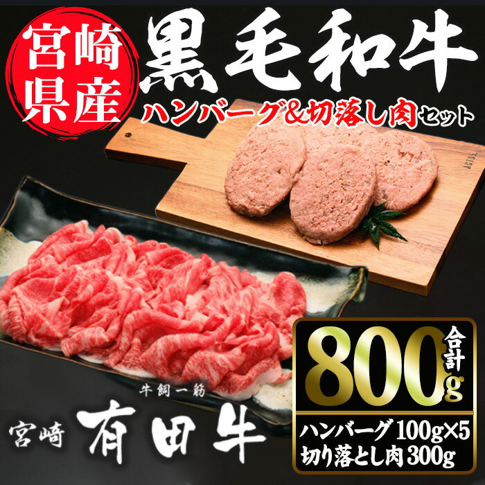 【ふるさと納税】宮崎黒毛和牛ハンバーグと切落しの2種セット(ハンバーグ100g×5個・切落し300g)国産 宮崎県産 黒毛和牛 ハンバーグ 小分け【AR002】【(有)有田牧畜産業 食肉加工センター】
