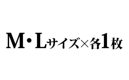 遠州織物ジャカード織　柿渋染めお洒落マスク 2枚セット（M･L×各1） [№5786-8491]3554