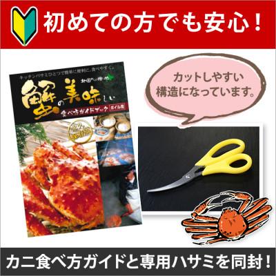 ふるさと納税 弟子屈町 【のし付】毛蟹 姿 2尾 計1.5kg前後 ボイル 蟹ハサミ・ガイド付 北海道 弟子屈町 2456 |  | 03