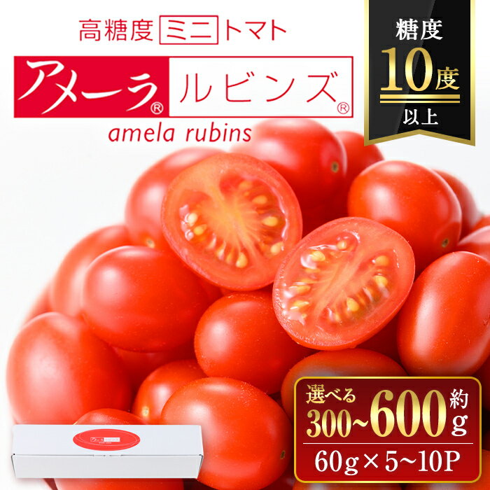 【ふるさと納税】＜ 選べる ＞アメーラルビンズ 5～10P ｜ 計約300g (約60g×5P) or 計約600g (約60g×10P) | トマト フルーツトマト アメーラ ルビンズ ミニトマト とまと 糖度10度以上 高糖度 野菜 食品 静岡県 国産 贈り物 ギフト 贈答