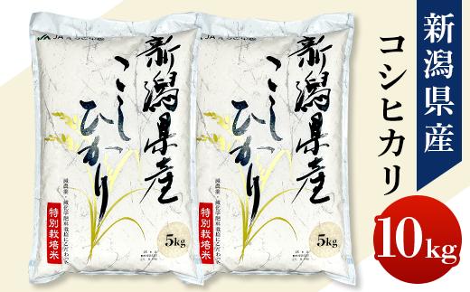 新潟県長岡産特別栽培米コシヒカリ10kg（5kg×2）