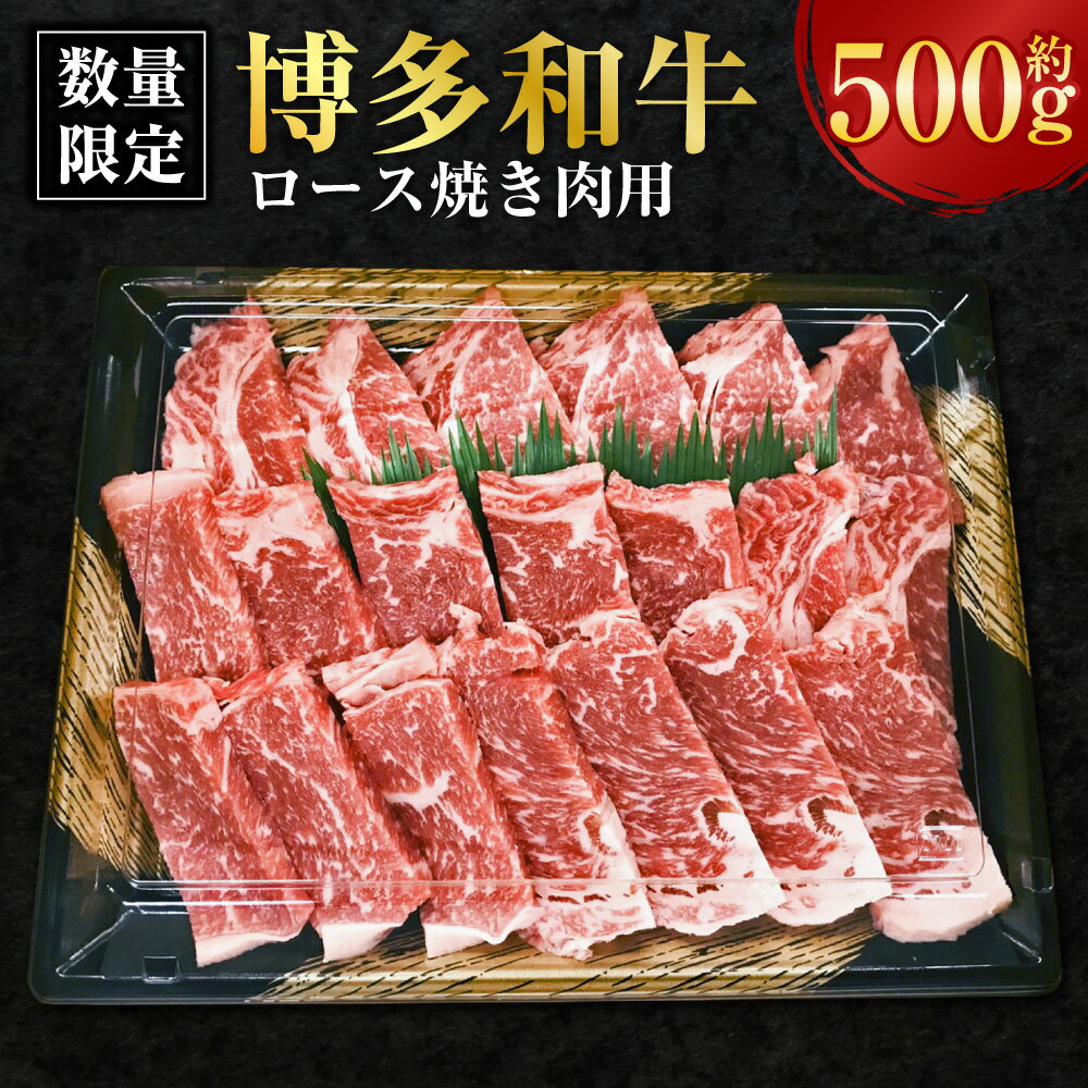 【ふるさと納税】【数量限定 博多和牛】ロース 焼き肉用 約500g 黒毛和牛 リブロース サーロイン 焼肉 焼き肉 牛 肉 牛肉 お肉 霜降り 冷凍 福岡県産 国産 九州 福岡県 香春町 送料無料