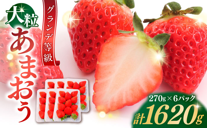 【2026年3月初旬より順次発送】 あまおう いちご 1620g (約270g×6パック) 吉富町/株式会社HSP-テクノ [BGBQ002]