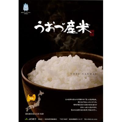 ふるさと納税 魚津市 【毎月定期便】【9ヶ月定期便】富山県 　うおづ産米「コシヒカリ」15kg(5kg×3袋)全9回 |  | 01