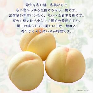 岡山冬桃がたり6～9玉（計約1.3ｋｇ）化粧箱入