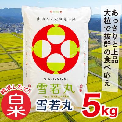 ふるさと納税 最上町 【白米】令和6年産山形県産雪若丸5kg