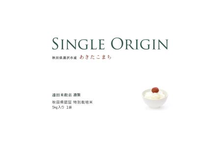 【令和7年産米】小野小町の郷 特別栽培米 あきたこまち 5kg×1袋 ふるさと納税 秋田 米 あきたこまち お米【遠田米穀店】[B7-2203]
