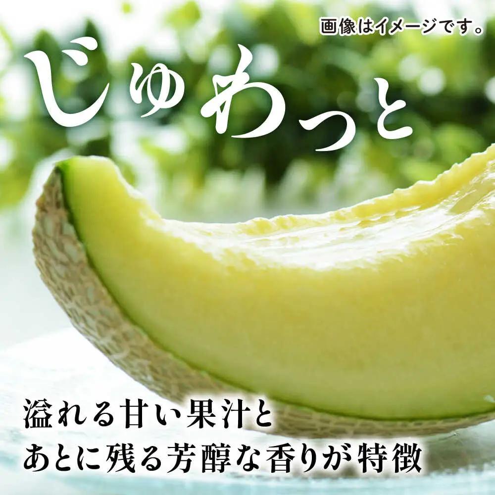 先行予約 年内発送 愛情 メロン 1玉【とみおか農園】[ZEM007]