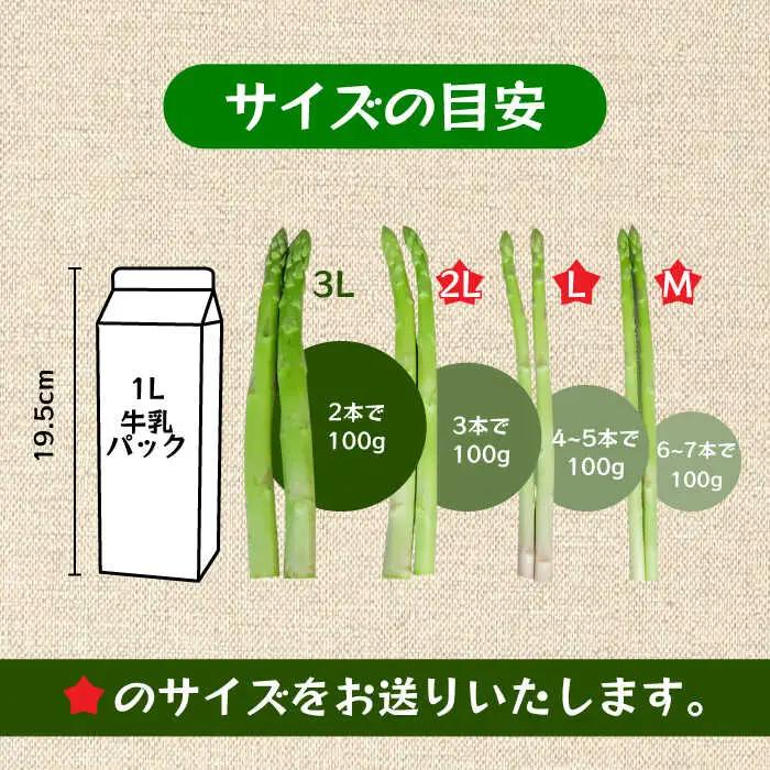 【先行予約・訳あり】モーモーアスパラ 夏芽 M / L / 2L セット 1.2kg（6月上旬から順次発送） アスパラガス[ARAI034]