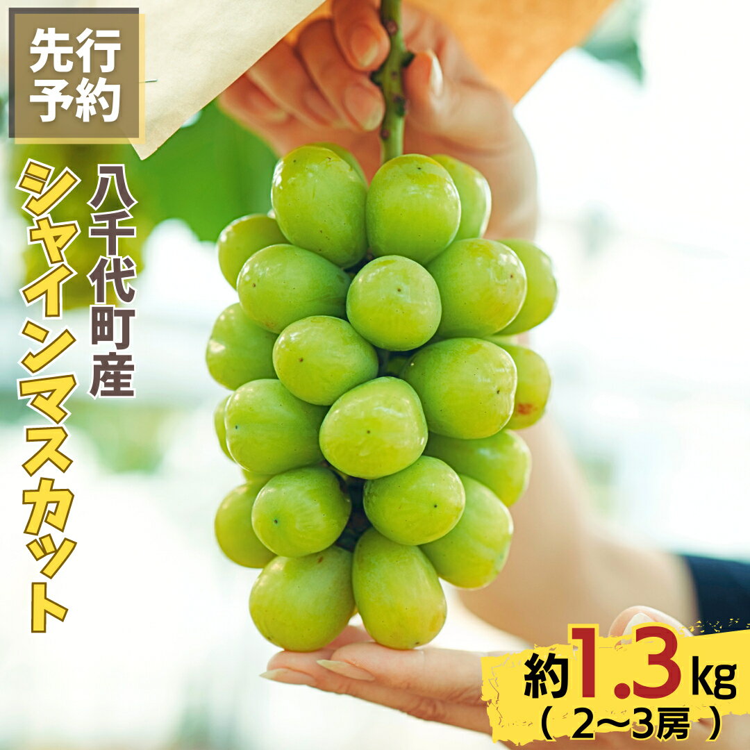 【ふるさと納税】八千代町産 シャインマスカット 約 1.3kg ( 2～3房 ) 【 2025年9月上旬以降発送】 産地直送 フルーツ ぶどう 果物 ブドウ 葡萄 マスカット
