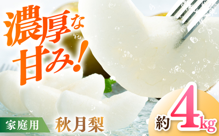 【先行予約】 秋月梨 約3kg 家庭用 〈2026年9月上旬～9月中旬頃発送〉 / 梨 なし ナシ  果物 フルーツ デザート 秋 甘い ジューシー 【川渕果樹園】 [ATHX013]