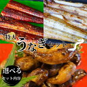 【ふるさと納税】特大うなぎ 肝たれ焼きのセット 蒲焼き 白焼き / 和歌山 田辺 うなぎ 鰻 白焼き うな丼 うな重 国産 鰻丼 かば焼き 肝たれ焼き