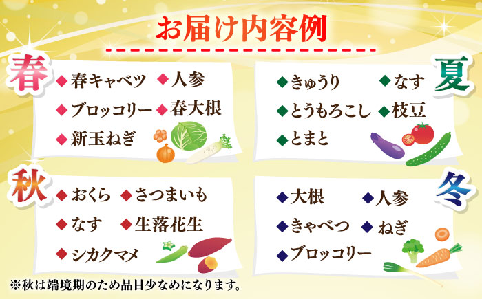 【全6回定期便】よこすか野菜セット すかなボックス 【JAよこすか葉山】 [AKFO008]