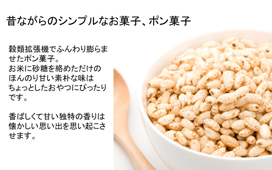 昔なつかしのポン菓子 60g×9袋 計540g_2384R_イメージ2