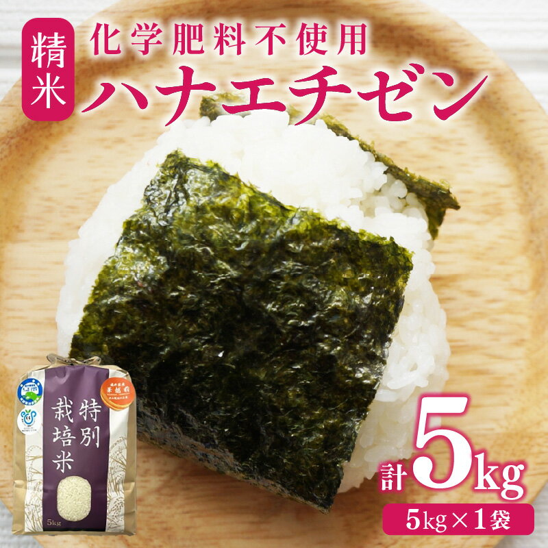 【ふるさと納税】【先行予約】【令和8年産】 化学肥料不使用ハナエチゼン 精米 5kg（5kg×1袋）　/ 米 白米 福井県あわら市産 ブランド米 美味しい 特別栽培米 減農薬 安心な米 旨味 甘み エコファーマー 冷蔵保管米 ※2026年8月下旬より順次発送