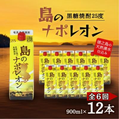 ふるさと納税 伊仙町 【毎月定期便】奄美黒糖焼酎 島のナポレオン 900ml 紙パック 12本セット全6回