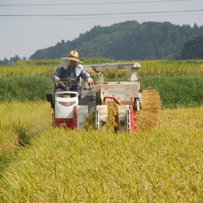 【令和5年産】城里町内・桂農産の【つきあかり】5kg(精米)【配送不可地域：離島】