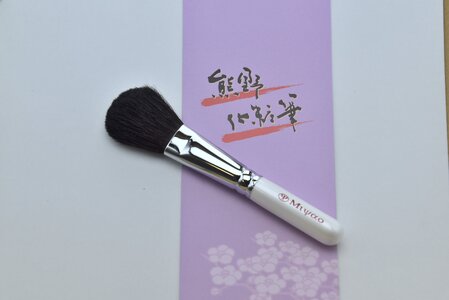 熊野化粧筆 チークブラシ メイクアップ ポニー(ふるさと納税限定)【メイクブラシ 化粧筆 チークブラシ 馬毛 ポニー 化粧 メイク コスメ 美容 立体感 透明感 熊野筆 伝統工芸 職人技 高級筆 】 
