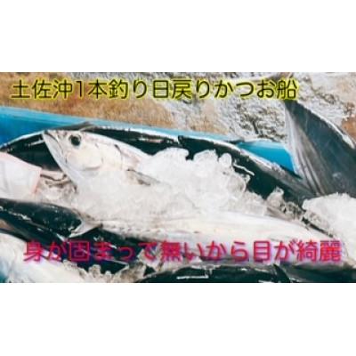 ふるさと納税 南国市 もちもち食感!釣れたてビリかつお刺身300g×2節(刺身油・ニンニク10g付き) |  | 03