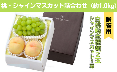 詰合せ 白桃 晩生種 2玉 シャインマスカット 1房 合計約1.0kg 岡山県産 【先行予約 2026年8月下旬から順次発送】