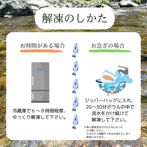 甲斐サーモン　 【氷温熟成仕込み】西京漬け＆塩こうじ漬け