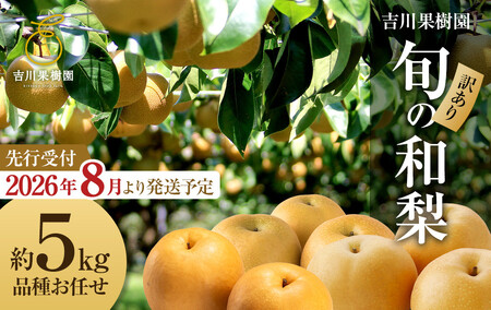 【2026年発送分先行予約】(訳あり) 旬の和梨　約５kg【吉川果樹園】 ｜ 梨 フルーツ くだもの 宮城県角田市 