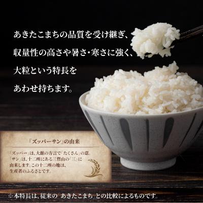 ふるさと納税 大館市 【令和7年産】ズッパーサン精米10kg(5kg×2袋) |  | 02