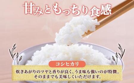 ＜先行予約＞令和7年産 コシヒカリ 白米 10kg×1袋 長野県産 米 精米 お米 ごはん ライス 甘み 農家直送 産直 信州 人気 ギフト お取り寄せ 平林農園 送料無料 長野県 大町市