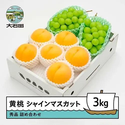令和8年産 もも 有袋黄桃 秀品＆シャインマスカット 約3kg 詰め合わせ ns-fsosx3