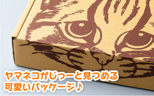 【令和6年産 新米 予約受付中】佐護 ツシマヤマネコ 米 5kg みつめるにゃんBOX セット【24年10月以降順次発送】《対馬市》【一般社団法人MIT】玄米 対馬 精米 減農薬 猫 ギフト [WAP