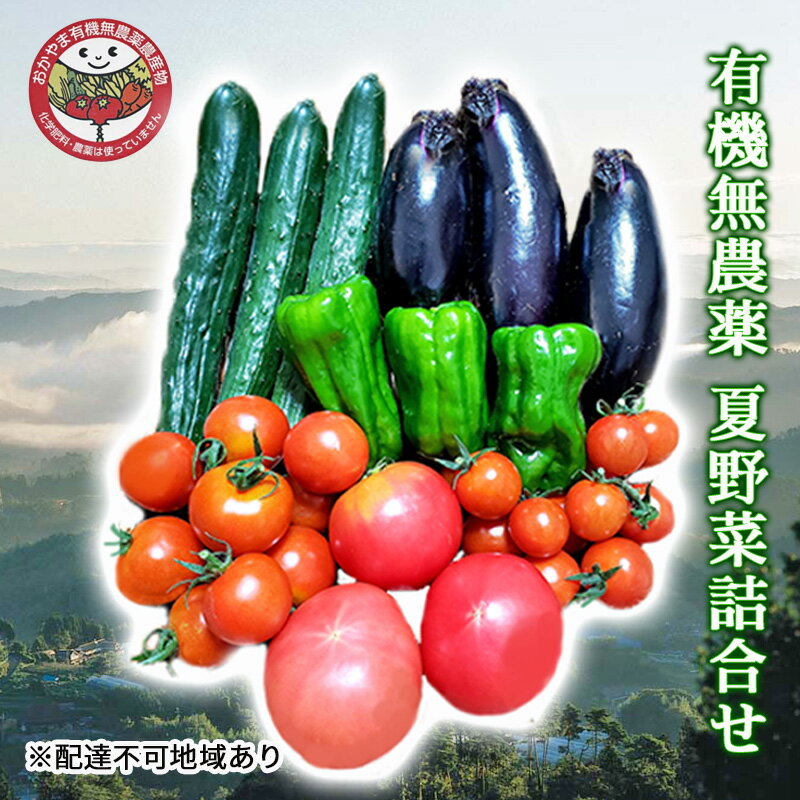 【ふるさと納税】2026年 早期受付 夏野菜 詰め合わせ おかやま 有機無農薬 農産物 野菜 セット 　お届け：2026年7月中旬～2026年8月31日
