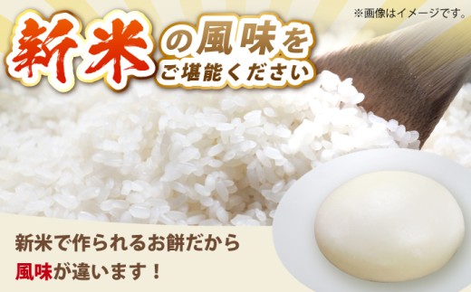 【真空冷凍】 【手作り】 よもぎ餅 15個 1kg 小浜市 / 藤田餅店  【配送不可地域：北海道・沖縄・離島】  [BFCK002] 