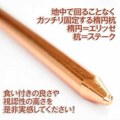 ふるさと納税 三条市 鍛造ペグ(エリッゼステーク) 38cm×8本セット  ブロンズ キャンプ用品【032S031】 |  | 03