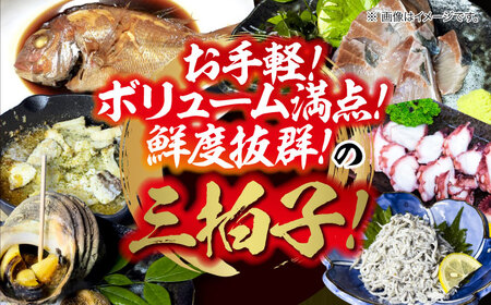 新鮮なお魚盛りだくさん！海鮮詰合せ「竹」 料理 和食 簡単 レシピ 魚介類 海産物 海鮮 刺身 ギフト お取り寄せ 江田島市/七宝丸[XBY002]