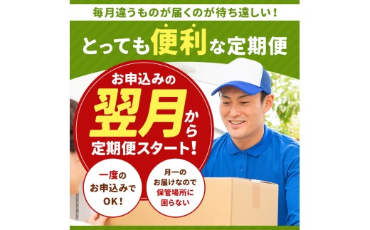【定期便3回】 旬のフルーツ 3か月連続定期便 3回コース | みかん いちご 河内晩柑 すいか メロン シャインマスカット 梨 柿 果物 フルーツ定期便 フルーツ 果物 熊本県 玉名市