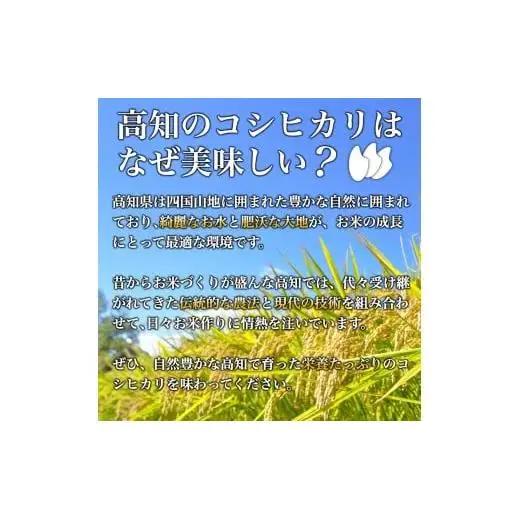 【コシヒカリ 令和8年度新米】コシヒカリ10kg