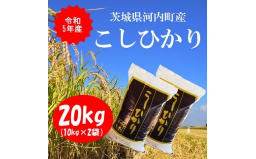 令和6年産茨城県河内町産コシヒカリ20kg(10㎏×2袋)【1254350】