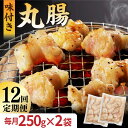 【ふるさと納税】【全12回定期便】【塩だれ】 九州産和牛 ホルモン 丸腸 500g（250g×2袋） 長与町/岩永ホルモン [EAX119] 国産肉 ホルモン 丸腸 小分け 味付き 冷凍 焼肉 焼き肉 和牛