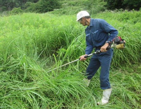 農地等草刈作業代行サービス（1000㎡以下）