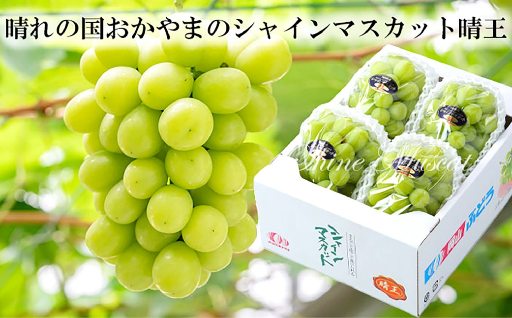 シャインマスカット晴王 約500g×2房