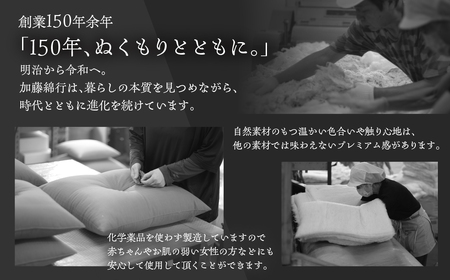 いろはざぶとん 45cm【銀杏】 綿わた入り カラー座布団 クッション 日本製 天然素材 和室 洋室 インテリア 愛知県 豊橋市 9500円