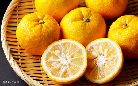 ゆずゼリー 6袋 / ゼリー ゆずゼリー お菓子 柚子 ゆず / 恵那市 / かさぎゆず組合[AUAW015]