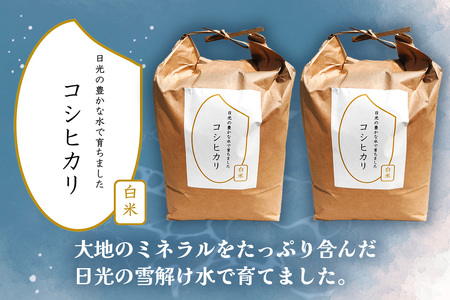 [数量限定] 令和7年度産 特別栽培米 コシヒカリ 白米10kg (5kg×2袋)｜こしひかり お米 ご飯 ライス 2025年度米 白米 精米 国産 日光産 産地直送 先行予約 [0707]