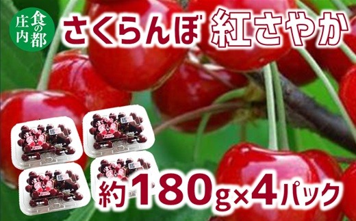 【令和8年産】食の都庄内 さくらんぼ紅さやか 約180g×4パック※2026年6月上旬頃より発送開始予定